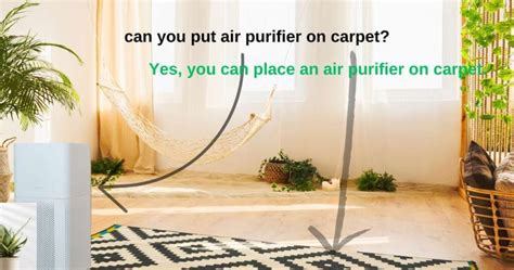 Can You Put Air Purifier on Carpet? Exploring the Oddities of Airflow and Flooring