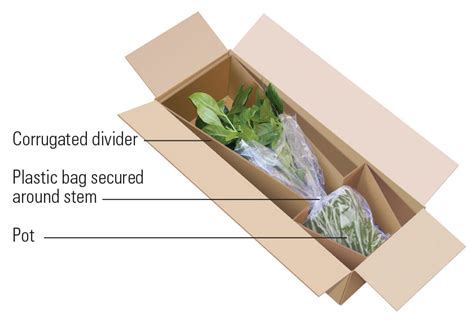 Can You Ship Flowers: A Blossoming Discussion on Floral Logistics and Beyond