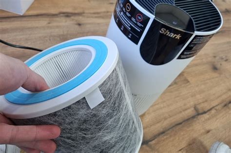 How to Clean an Air Purifier Filter: A Comprehensive Guide and the Curious Case of Dust Bunnies