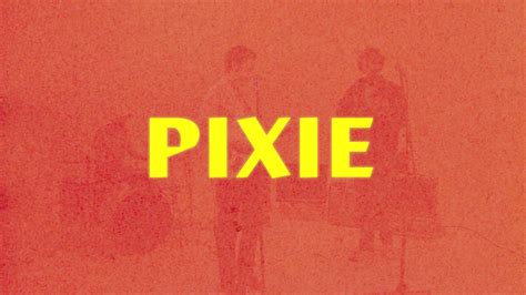 Picnic With Pixie: A Celebration of Music, Dance and Unexpected Fandom