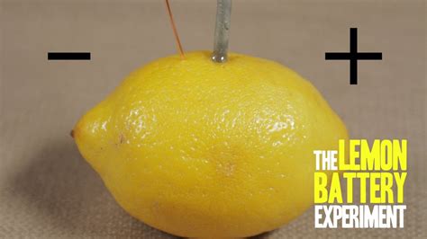 What Creates an Electric Current in a Battery: And Why Do Lemons Make Better Conductors Than Apples?