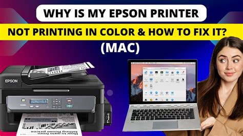 Why is my HP printer not printing in color? Exploring the mysteries of monochrome and beyond